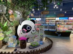 -龟与熊猫宠物公园(南坪店)