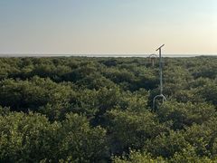 -北海金海湾红树林生态旅游区