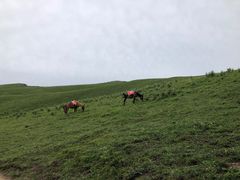 -灵山