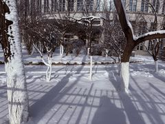 -北陵公园