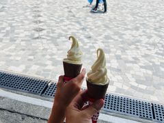-富豪雪糕车流动点(尖沙咀店)