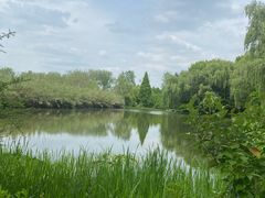 -溱湖国家湿地公园