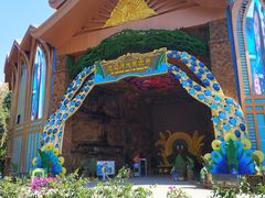 -西双版纳原始森林公园