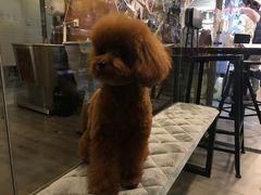 -PETKIT小佩宠物(古北店)