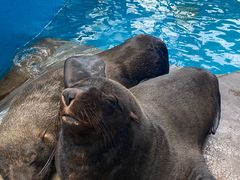 -成都浩海立方海洋公园