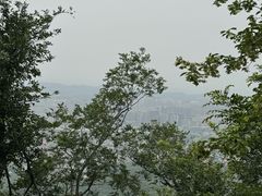 -紫金山山顶公园