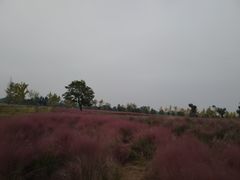 -汉长安城未央宫国家考古遗址公园