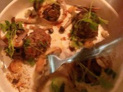 -Ocean's Table 欧舍