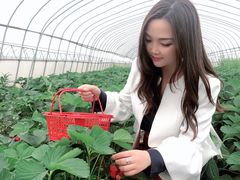 -菊园百果园