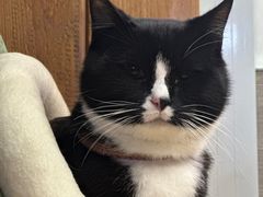 -兄弟鸡排.芋泥香酥鸭(淮海街店)