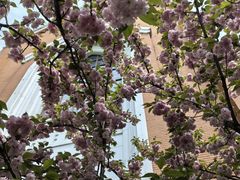 -苏州独墅湖体育馆