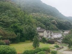 -雁南飞茶田景区