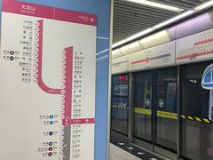 -大龙山(地铁站)