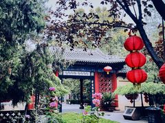 -大槐树寻根祭祖园