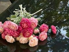 -晓秧锅鲜货火锅·重庆老字号(西外店)