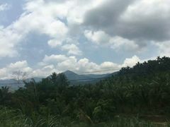 -东寨港红树林旅游区