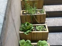 -福照楼汽锅鸡·云南菜(护国路店)