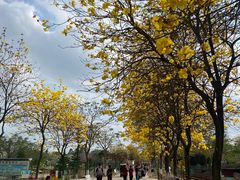 -盈香心动乐园
