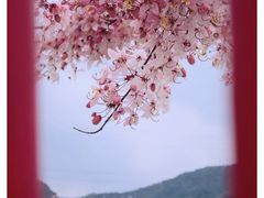 -白石龙音乐公园