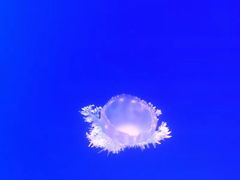 -福州罗源湾海洋世界旅游区