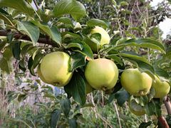 -天津盘山风景名胜区