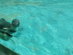 -新疆天山野生动物园