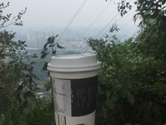 -茶颜悦色(岳麓山顶店)