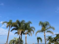 -月亮湾湿地公园