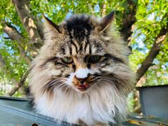 -旧雨咖啡·CoffeeFORU(黄村奥体店)