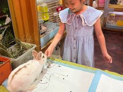 -宠物兔专门店(天丰利市场店)