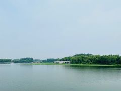 -大兴滨河森林公园