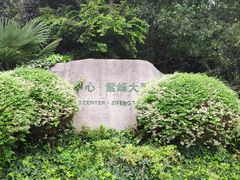 -紫峰大厦