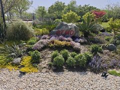 -上海交通大学(闵行校区)