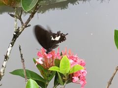 -呀诺达热带雨林