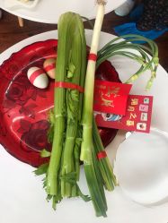 -卓玥国际月子会所(罗山路店)