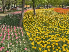 -长春公园(普阳街道)