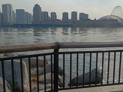 -海河外滩公园