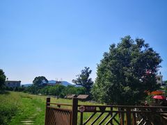 -泉州海丝野生动物世界