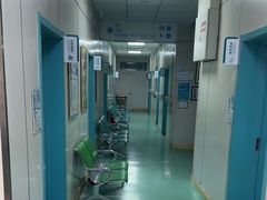 -北京观赏动物医院·24小时大型综合·猫专科·异宠专科