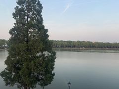 -素心小筑(后沙裕镇店)