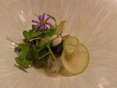 -蝶舍·MAISON PAPILLON