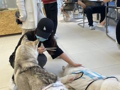 -怪兽屋·羊驼·猫咖·狗咖(俊华广场店)