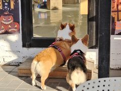 -小意思咖啡店(草桥店)