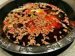 牛油火锅-叉叉裤鲜火锅(空港新城店)