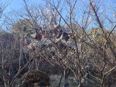 -南京珍珠泉风景区