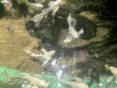 -太平洋海底世界