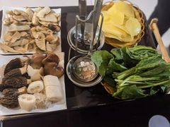 -蘑统田下·野生菌火锅