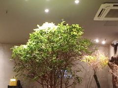 -森SPA·泰式按摩·精油Massage(宝安中心店)