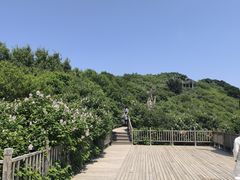 -白草畔自然风景区