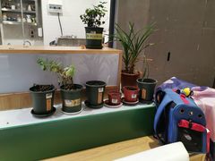 -歎雪糕低糖低脂Gelato冰淇淋